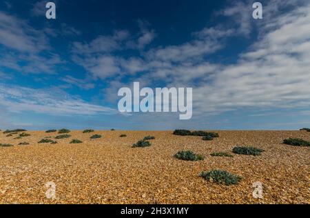 Ebbe im Pagham Harbour Nature Reserve in der Nähe von Chichester, West Sussex, Großbritannien Stockfoto