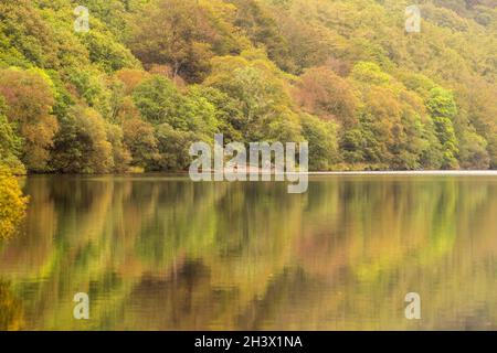 Reflexionen, die an einem frühen Herbsttag in Llyn Dinas, Gwynedd Snowdonia Wales, Großbritannien, festgehalten wurden Stockfoto