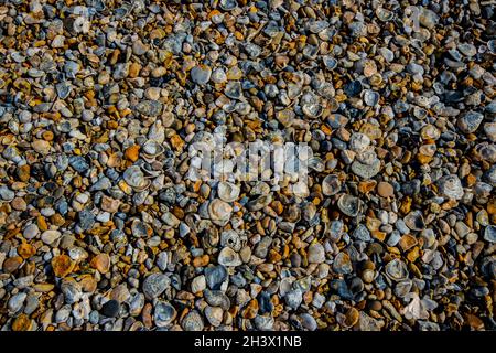 Ebbe im Pagham Harbour Nature Reserve in der Nähe von Chichester, West Sussex, Großbritannien Stockfoto