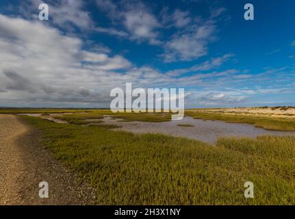 Ebbe im Pagham Harbour Nature Reserve in der Nähe von Chichester, West Sussex, Großbritannien Stockfoto