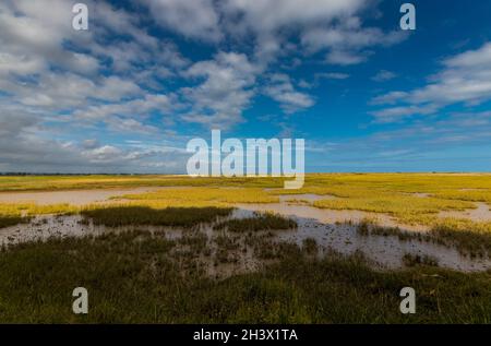 Ebbe im Pagham Harbour Nature Reserve in der Nähe von Chichester, West Sussex, Großbritannien Stockfoto