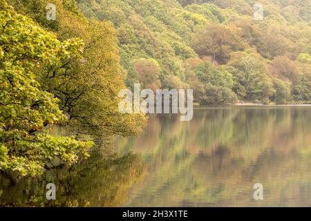 Reflexionen, die an einem frühen Herbsttag in Llyn Dinas, Gwynedd Snowdonia Wales, Großbritannien, festgehalten wurden Stockfoto