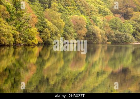 Reflexionen, die an einem frühen Herbsttag in Llyn Dinas, Gwynedd Snowdonia Wales, Großbritannien, festgehalten wurden Stockfoto