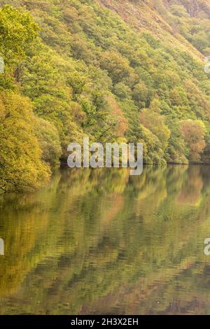 Reflexionen, die an einem frühen Herbsttag in Llyn Dinas, Gwynedd Snowdonia Wales, Großbritannien, festgehalten wurden Stockfoto