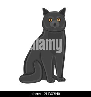 Realistische schwarze Katze auf weißem Hintergrund - Vektor Stockfoto