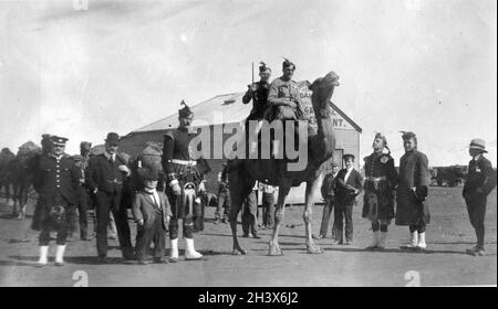 Die Kilties, eine kanadische Schotten-Band, auf einem Kamel in Leonora, Westaustralien, während ihrer Welttournee 1909. Stockfoto