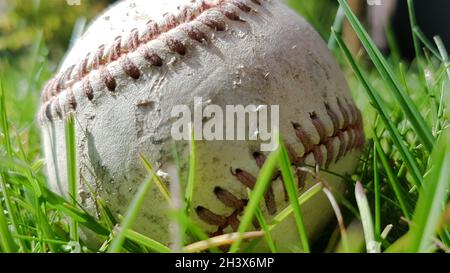 Weißer alter Baseballball auf frischem grünem Gras mit Kopierraum aus der Nähe. American Sports Baseballspiel. Stockfoto