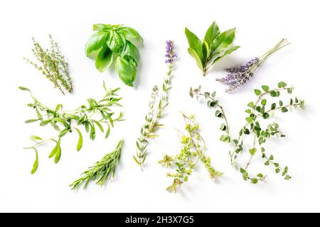 Herbes de Provence mit Lavendel, traditionellen französischen aromatischen Kräutern Stockfoto