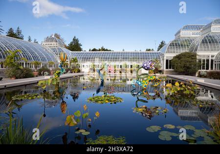 Bronx, NY - Oktober 28,2021: NY BOTANICAL GARDEN. Hier ist die Hymne des Lebens - Tulpen Stockfoto