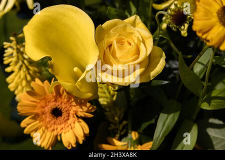 Gelbe Blumen in einer Vase auf einem Gartentisch Stockfoto