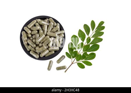 Moringa oleifera; Moringa-Blätter und -Kapseln auf weißem Hintergrund Stockfoto