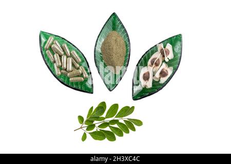 Moringa oleifera; Moringa-Blätter, Kapseln, Pulver und Samen auf weißem Hintergrund Stockfoto