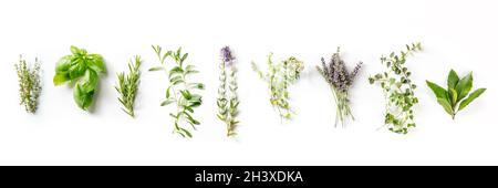 Herbes de Provence mit Lavendel, traditionelles französisches Kräuterpanorama Stockfoto
