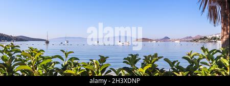 Schönen ruhigen Blue Bay und grünen Pflanzen. Ruhe und Erholung an der Küste Stockfoto