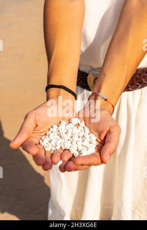 Weibliche Hände halten kleine Korallenreste am Popcorn Beach in der Nähe der Stadt Corralejo, Spanien Stockfoto