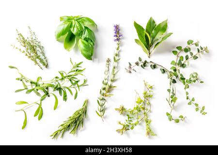 Herbes de Provence, traditionelle französische aromatische Kräuter, oben geschossen Stockfoto