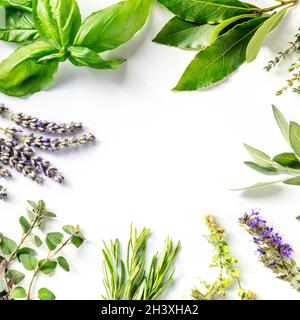 Frisches Gartenkräuter quadratisches Banner mit Platz für Text Stockfoto