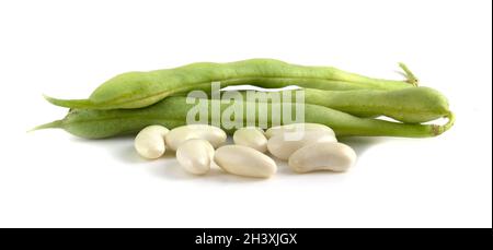 Junge Bohnenschoten und Bohnen isoliert auf weißem Hintergrund Nahaufnahme. Stockfoto