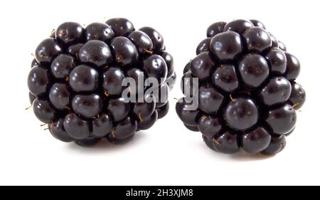 Frische reife Brombeeren isoliert auf weißem Hintergrund. Beeren aus nächster Nähe. Stockfoto