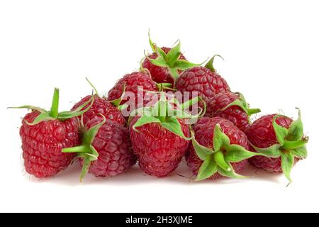 Reife Himbeeren isoliert auf weißem Hintergrund aus nächster Nähe Stockfoto