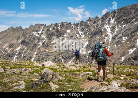 Wanderer mit schweren Packungen und Wanderstöcken im Sommer in schroffem Berggelände, Indian Peaks Wilderness Area, Colorado, USA Stockfoto