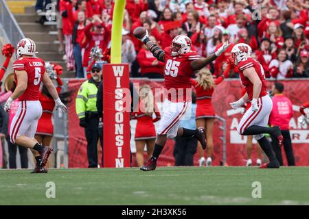 Madison, WI, USA. Oktober 2021. Wisconsin Dachs Nasentackling Keeanu Benton (95) feiert nach der Genesung eines Fumbles während des NCAA Football Spiels zwischen den Iowa Hawkeyes und den Wisconsin Dachsen im Camp Randall Stadium in Madison, WI. Darren Lee/CSM/Alamy Live News Stockfoto