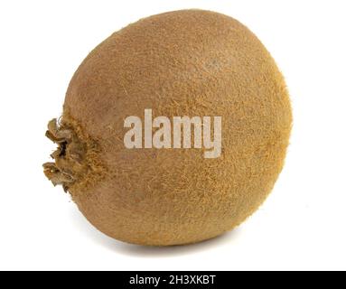 Ganze Kiwi-Frucht Nahaufnahme isoliert auf weißem Hintergrund. Stockfoto