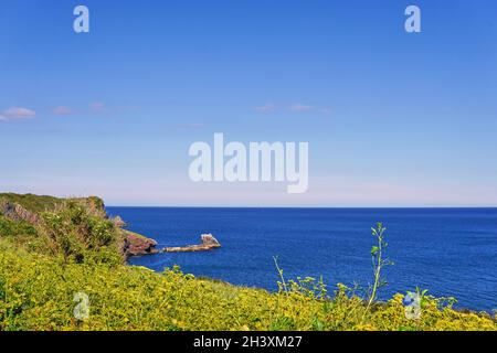 04. Juni 2021. Brixham, Großbritannien. Blick von der Klippe in Berry Head an der englischen Riviera Devon, UK. Stockfoto