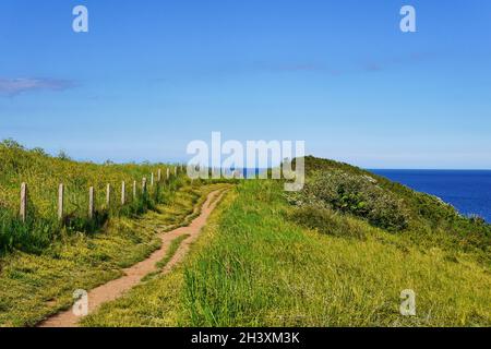 04. Juni 2021. Brixham, Großbritannien. Berry Head Meeresblick in Brixham, Devon, UK. Fußpfad. Stockfoto