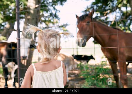 Das kleine Mädchen steht vor dem Zaun und schaut auf das Pferd Stockfoto