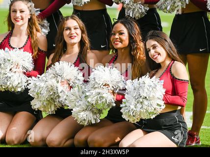 Philadelphia, Pennsylvania, USA. Oktober 2021. 30. Oktober 2021, Philadelphia PA- Temple Dance Team in Aktion bei Lincoln Financial Field PA (Foto: © Ricky Fitchett/ZUMA Press Wire) Stockfoto