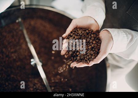 Kaffeekühlung in der Röstermaschine beim Rösten des Kaffees. Junge Barista, die Kaffeebohnen mischt und in den Händen hält. Stockfoto