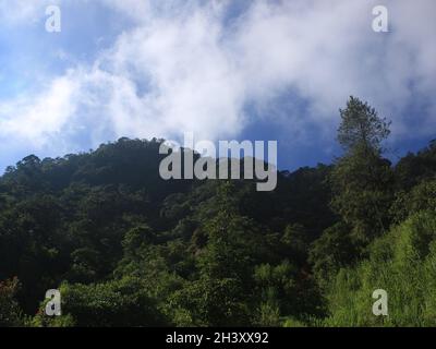 Urlaub mit schönem Himmel auf dem Gipfel des Tugu Mountain in Pekalongan, Indonesien. Stockfoto