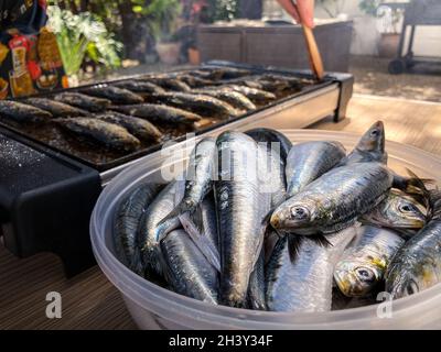 Frische rohe Sardine für Grillplatte. Im spanischen Pilchard-Stil zubereitet. Fisch gereinigt und im Schiff zum Kochen im Garten zu Hause auf Urlaub gehalten. T Stockfoto