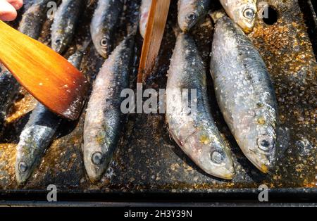 Gegrillte Sardinen auf einem Grillplatte. Im spanischen Pilchard-Stil zubereitet. Persönlicher Koch kocht Fisch in einer offenen Restaurantküche. Traditionelle Meeresfrüchte in S Stockfoto