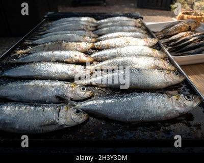 Gegrillte Sardinen auf einem Grillplatte. Im spanischen Pilchard-Stil zubereitet. Persönlicher Koch kocht Fisch in einer offenen Restaurantküche. Traditionelle Meeresfrüchte in S Stockfoto