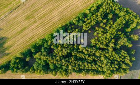 Luftbild geometrische Felder, zeigt eine grüne Wiese und gepflügte Felder, mit einer Drohne gefangen Stockfoto