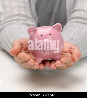 Weibliche Hände halten ein rosa Keramikschwein. Akkumulationskonzept, Budgetkontrolle Stockfoto