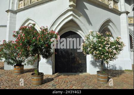 Albrechtsburg in Meißen Stockfoto