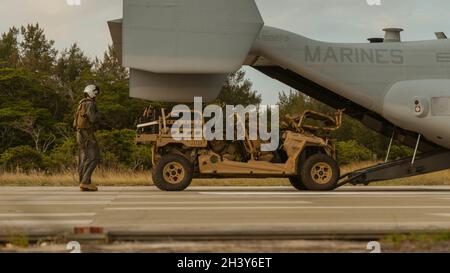 Ein US Marine Corps MV-22B Osprey, der Marine Medium Tiltrotor Squadron (VMM) 262 zugewiesen wurde, fügt ein Utility Task Vehicle mit Marines aus 2d Bataillon, 8th Marines, während der umkämpften Island Übung auf Okinawa, Japan, am 28. Oktober 2021 ein. Diese Übung zeigte die Fähigkeit der Marineinfanteristen, schnell eine Vielzahl von Missionen auszuführen, und zeigte die Entschlossenheit der USA, die regionale Sicherheit im Indo-Pazifik-Raum aufrechtzuerhalten. 2/8 wird im Indo-Pazifik unter 4th Marines, 3d Marine Division, eingesetzt. (USA Marine Corps Foto von Lance CPL. Scott Aubuchon) Stockfoto