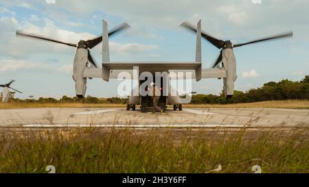 Ein US Marine Corps MV-22B Osprey, der Marine Medium Tiltrotor Squadron (VMM) 262 zugewiesen wurde, fügt ein Utility Task Vehicle mit Marines aus 2d Bataillon, 8th Marines, während der umkämpften Island Übung auf Okinawa, Japan, am 28. Oktober 2021 ein. Diese Übung zeigte die Fähigkeit der Marineinfanteristen, schnell eine Vielzahl von Missionen auszuführen, und zeigte die Entschlossenheit der USA, die regionale Sicherheit im Indo-Pazifik-Raum aufrechtzuerhalten. 2/8 wird im Indo-Pazifik unter 4th Marines, 3d Marine Division, eingesetzt. (USA Marine Corps Foto von Lance CPL. Scott Aubuchon) Stockfoto