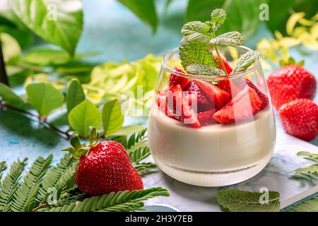 Vegane Matcha grüner Tee Panna Cotta. Stockfoto