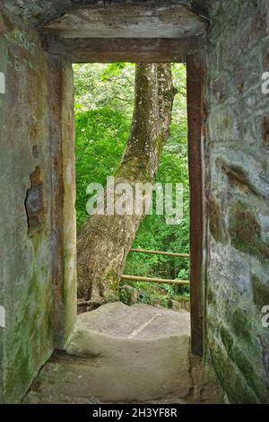 Burgruine Zavelstein im Schwarzwald bei Bad Teinach-Zavelstein, deutschland Stockfoto