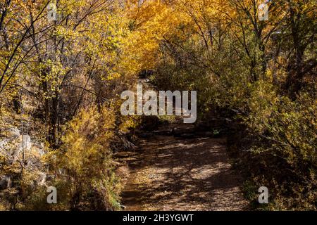 Das Flussbett von Santa Fe mit herbstlichen Bäumen am Ufer Stockfoto