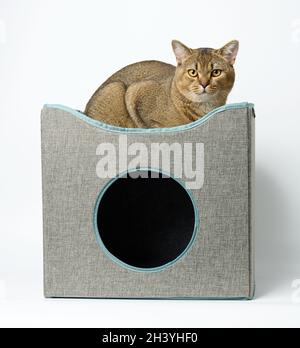 Graues quadratisches Textilhaus zum Schlafen und Ausruhen für eine Katze auf weißem Hintergrund. Stockfoto