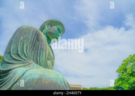 Frühsommer des Großen Buddha von Kamakura, der in frisches Grün gehüllt war Stockfoto