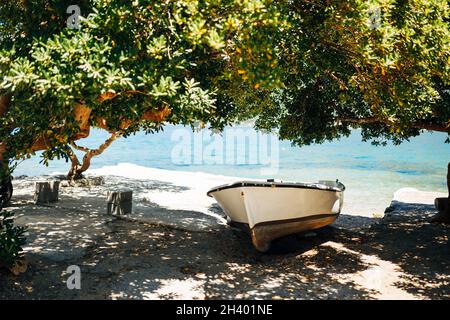 Fischerboot am Ufer im Schatten unter den Ästen von Bäumen an einem sonnigen Tag. Stockfoto
