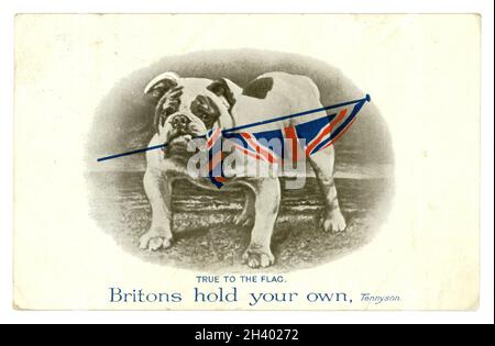 Originalpostkarte aus der Zeit WW1 mit einer Bulldogge mit einer Union Jack-Flagge, getreu der Flagge, zitiert Tennyson Britons Hold Your Own von C.W. Faulkner & Co.Ltd London Serie 1458, veröffentlicht 1914. Stockfoto