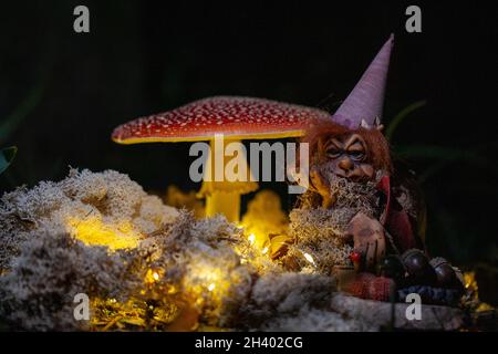 Fantasy Magische Pilze und Elfen im verzauberten Märchen verträumter Elfwald mit fabelhaftem Märchenmoos und Lichtern auf Mysterio Stockfoto