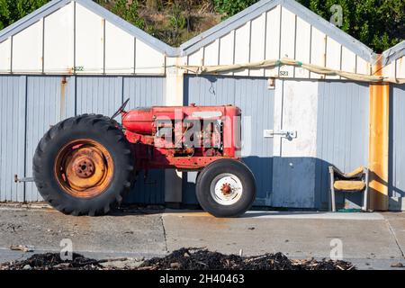 Nuffield-Traktor parkte vor den Bootsschuppen am Titahi Bay Beach, Porirua, Wellington, Nordinsel, Neuseeland Stockfoto